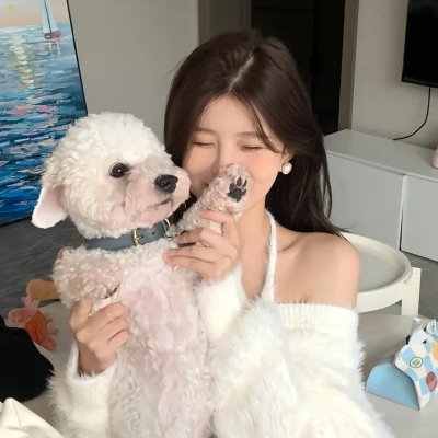 白室 海报