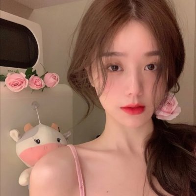 隐藏的大明星 海报